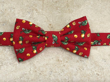 Charger l'image dans la galerie, Nœud papillon citron soie rouge jaune vert