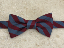 Charger l'image dans la galerie, Nœud papillon club soie