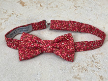 Charger l'image dans la galerie, Nœud papillon à fleurs rouges esprit liberty